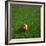 Cameroonian Soccerball Lying on Grass-zentilia-Framed Art Print