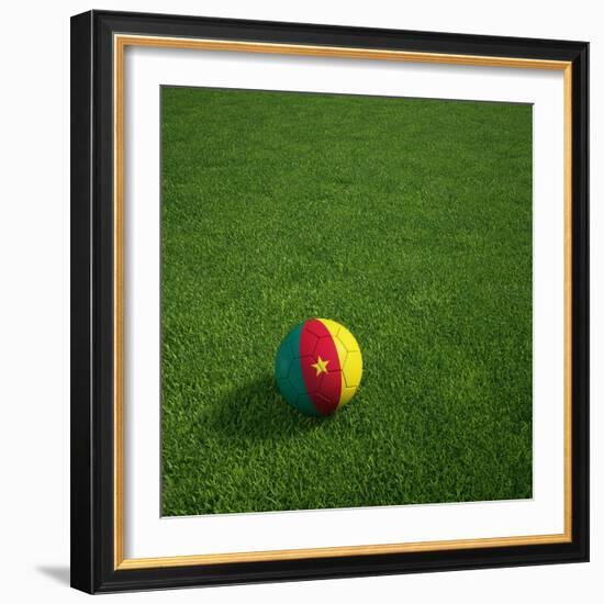 Cameroonian Soccerball Lying on Grass-zentilia-Framed Art Print