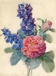 Flowers, Roses and Larkspur-Camile de Chanteraine-Giclee Print