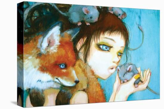 Stretched Canvas Print, , large