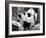 Camille, Greta Garbo, Robert Taylor, 1936-null-Framed Photo