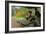 Camille Monet On a Garden Bench-Claude Monet-Framed Art Print