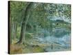 Stretched Canvas Print