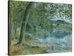 Stretched Canvas Print