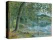 Stretched Canvas Print