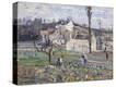 Stretched Canvas Print
