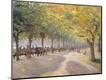 Premium Giclee Print