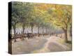 Stretched Canvas Print