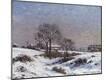 Giclee Print