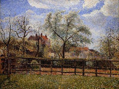 Camille Pissarro Paintings, Prints, Framed Artwork