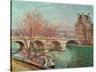 Stretched Canvas Print