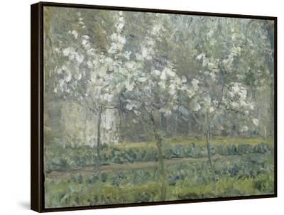 絵画 Camille Pissarro Printemps, Pruniers en Printemps. Pruniers en fleurs, dit : Potager, arbres en