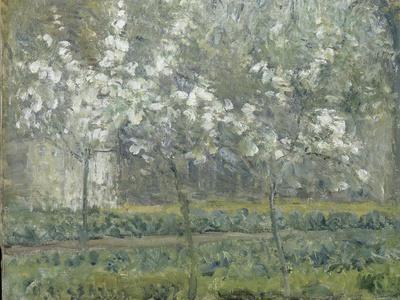 絵画 Camille Pissarro Printemps, Pruniers en Printemps. Pruniers en fleurs - Camille Pissarro | Musée d'Orsay