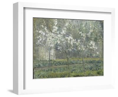 Printemps. Pruniers en fleurs, dit : Potager, arbres en