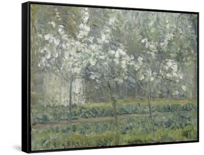 Printemps. Pruniers en fleurs, dit : Potager, arbres en fleurs