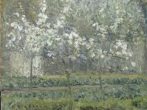 Printemps. Pruniers en fleurs, dit : Potager, arbres en fleurs, printemps, Pontoise-Camille Pissarro-Giclee Print