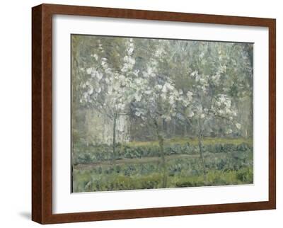 絵画 Camille Pissarro Printemps, Pruniers en Printemps. Pruniers en fleurs, dit : Potager, arbres en
