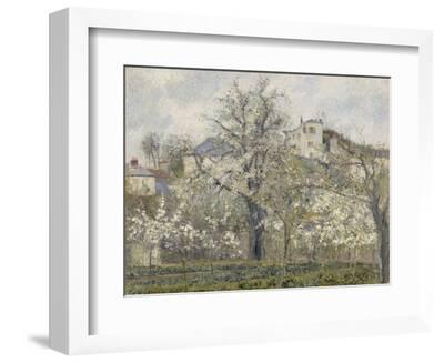 Printemps. Pruniers en fleurs, dit : Potager, arbres en fleurs