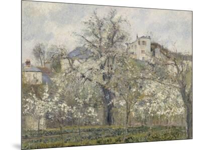 絵画 Camille Pissarro Printemps, Pruniers en 絵画 Camille Pissarro Printemps, Pruniers en Printemps. Pruniers