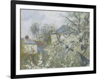 Printemps. Pruniers en fleurs, dit : Potager, arbres en fleurs