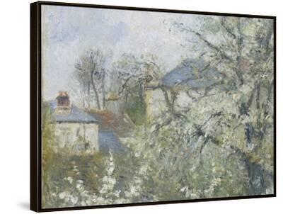 Printemps. Pruniers en fleurs, dit : Potager, arbres en fleurs