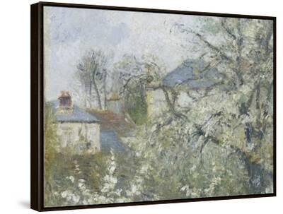 Printemps. Pruniers en fleurs, dit : Potager, arbres en fleurs