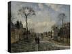Stretched Canvas Print