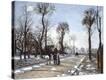 Stretched Canvas Print