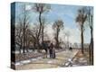 Stretched Canvas Print