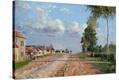 Stretched Canvas Print