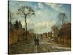 Stretched Canvas Print