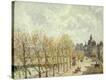 Stretched Canvas Print