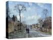 Stretched Canvas Print
