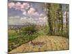 Premium Giclee Print