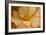 Camille's Begonias I-Rita Crane-Framed Photographic Print