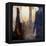 Camino-Gideon Ansell-Framed Premier Image Canvas