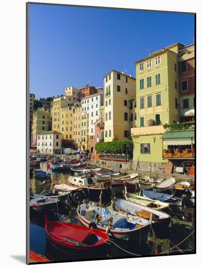Camogli, Portofino Peninsula, Liguria, Italy, Europe-Ruth Tomlinson-Mounted Photographic Print