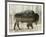 Camouflage Animals - Bison-Tania Bello-Framed Giclee Print