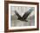 Camouflage Animals - Eagle-Tania Bello-Framed Giclee Print