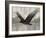 Camouflage Animals - Eagle-Tania Bello-Framed Giclee Print