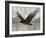 Camouflage Animals - Eagle-Tania Bello-Framed Giclee Print