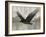Camouflage Animals - Eagle-Tania Bello-Framed Giclee Print
