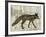 Camouflage Animals - Fox-Tania Bello-Framed Giclee Print