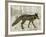 Camouflage Animals - Fox-Tania Bello-Framed Giclee Print