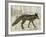 Camouflage Animals - Fox-Tania Bello-Framed Giclee Print