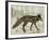 Camouflage Animals - Fox-Tania Bello-Framed Giclee Print