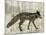 Camouflage Animals - Fox-Tania Bello-Mounted Giclee Print
