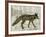 Camouflage Animals - Fox-Tania Bello-Framed Giclee Print