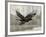 Camouflage Animals - Hawk-Tania Bello-Framed Giclee Print