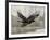 Camouflage Animals - Hawk-Tania Bello-Framed Giclee Print